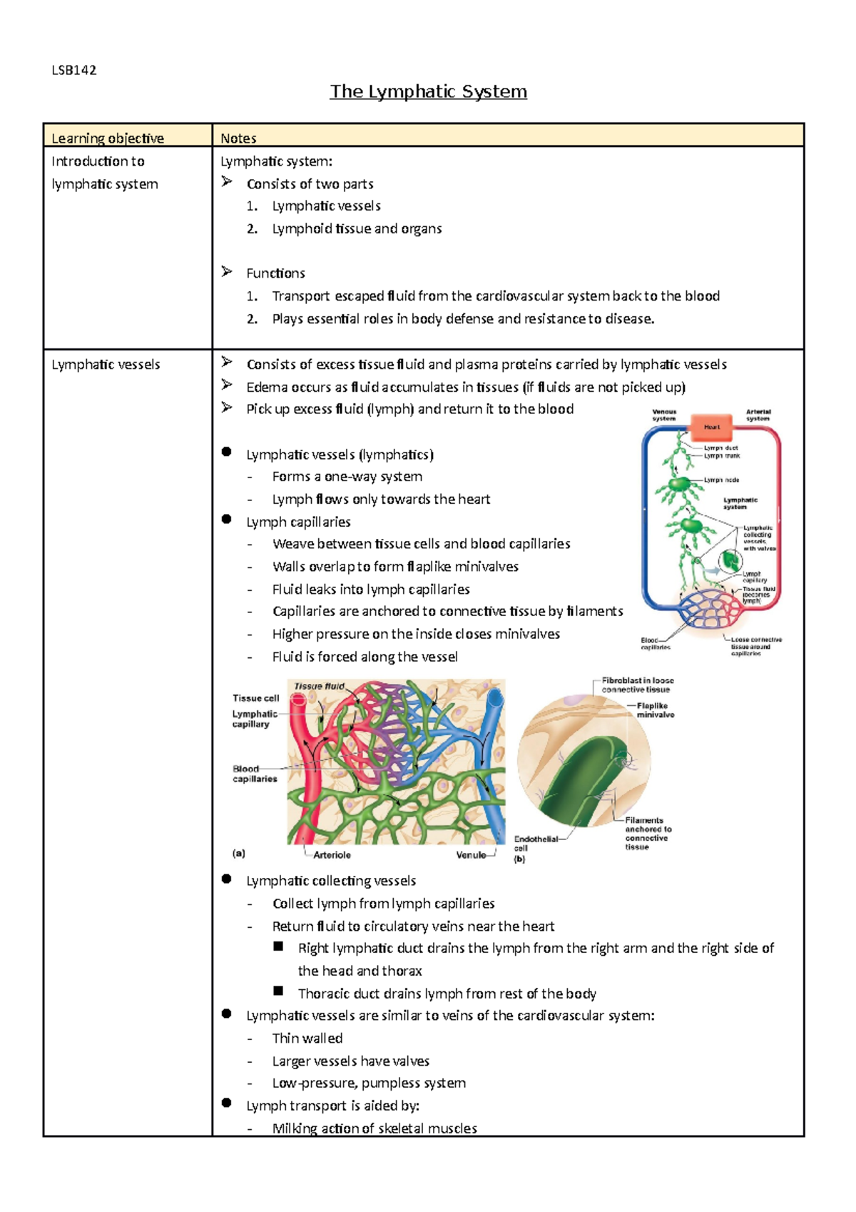 LSB142 wk8 - LSB The Lymphatic System Learning objective Notes ...