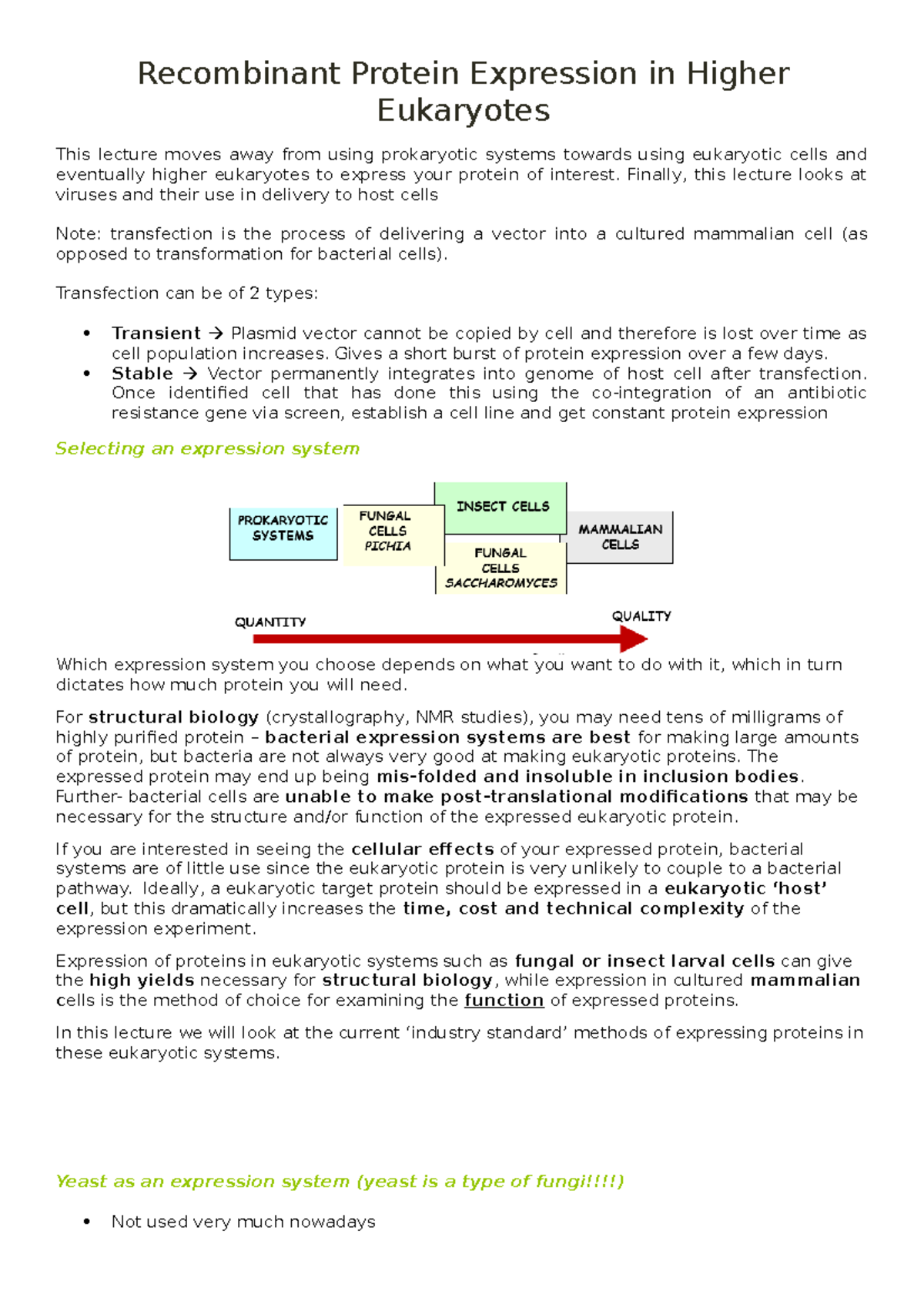 L7 Protein Expression in higher eukaryotes