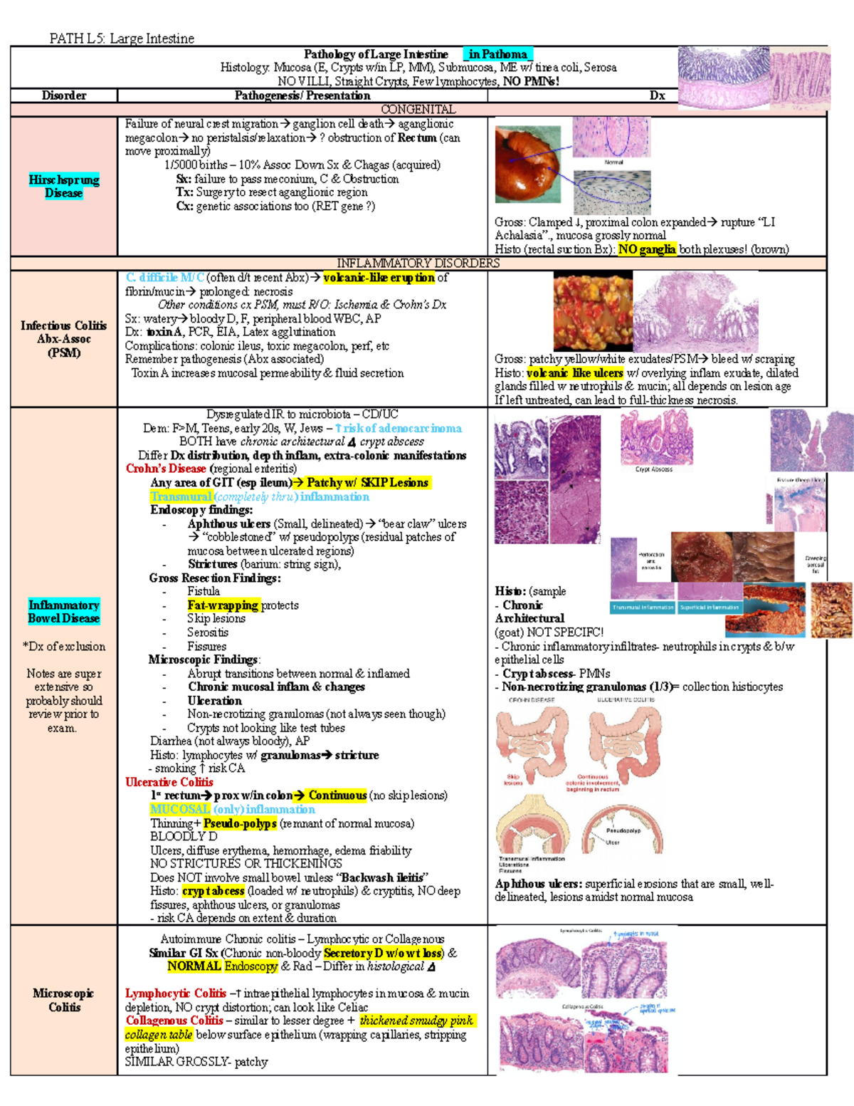 Path GI L5 LI Colorectal - Pathology of Large Intestine in Pathoma ...