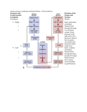 Patho Final Study Guide - Pathophysiology Final Exam Study Guide ...