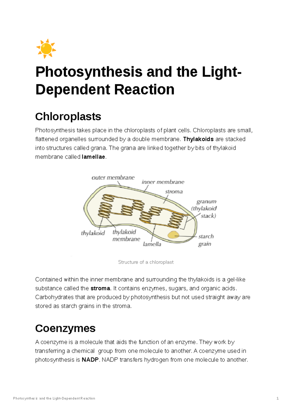 Light-Dependent Reaction - ☀ Photosynthesis And The Light- Dependent Reaction Chloroplasts - Studocu