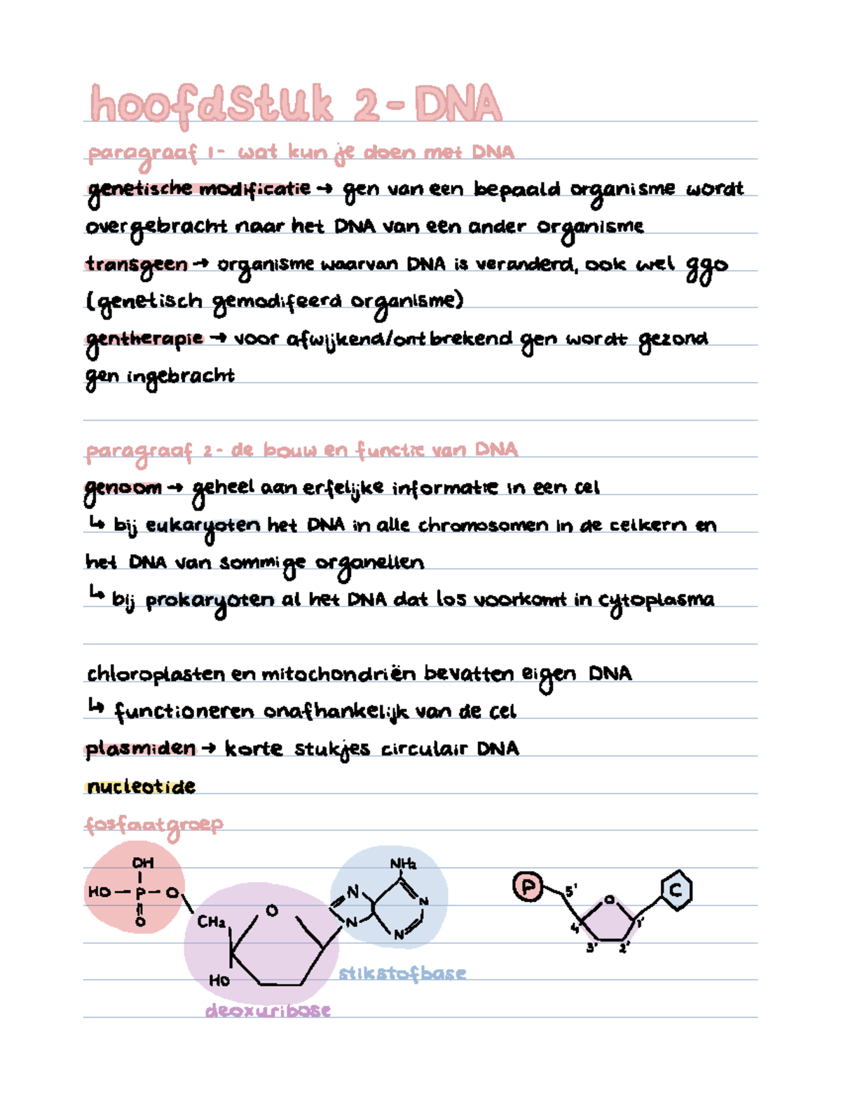 Biologie - Samenvatting 2 - Hoofd The O NIET Paragraaf 1 Wat Kun Je ...