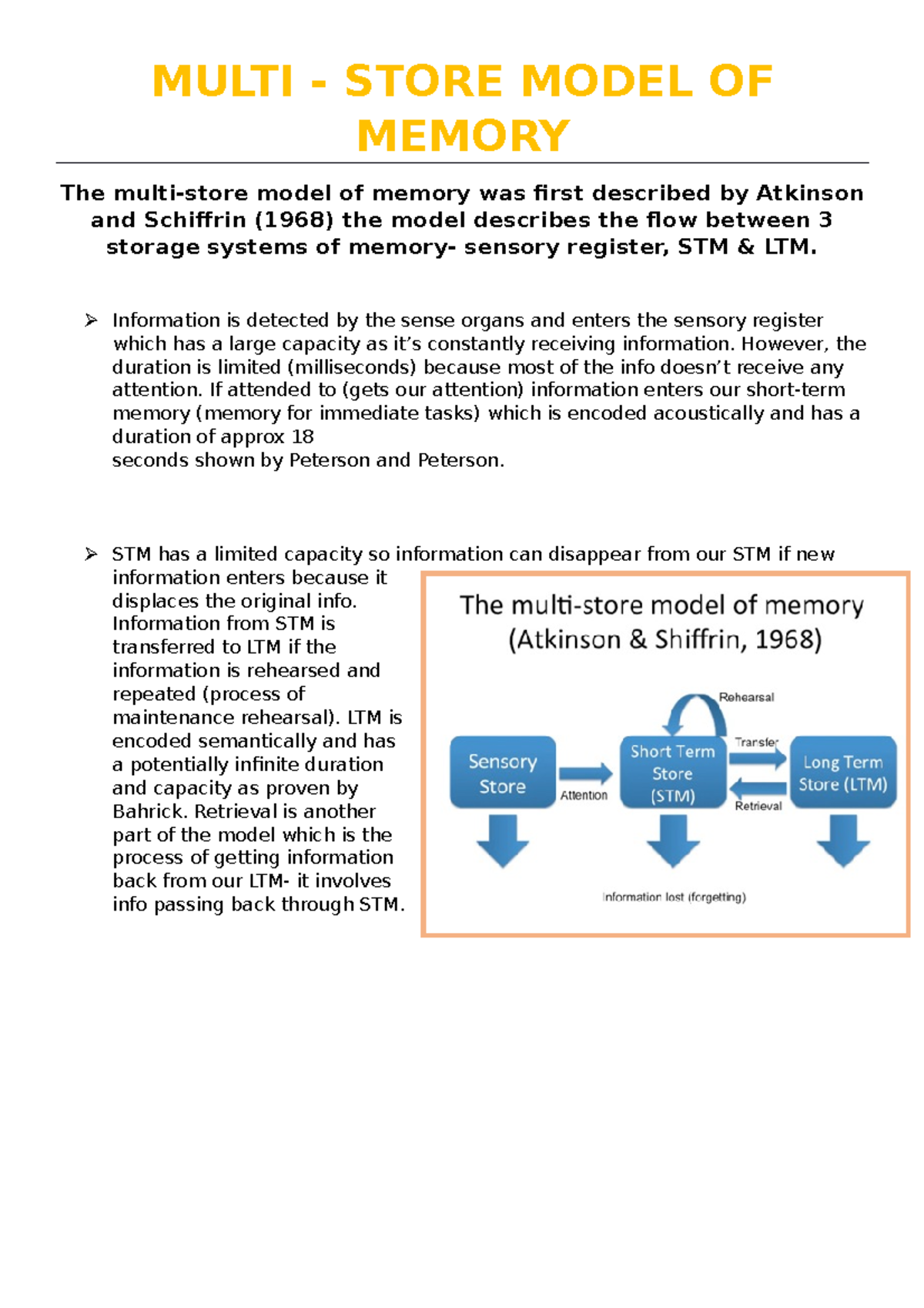 multi-store-model-of-memory-multi-store-model-of-memory-the-multi