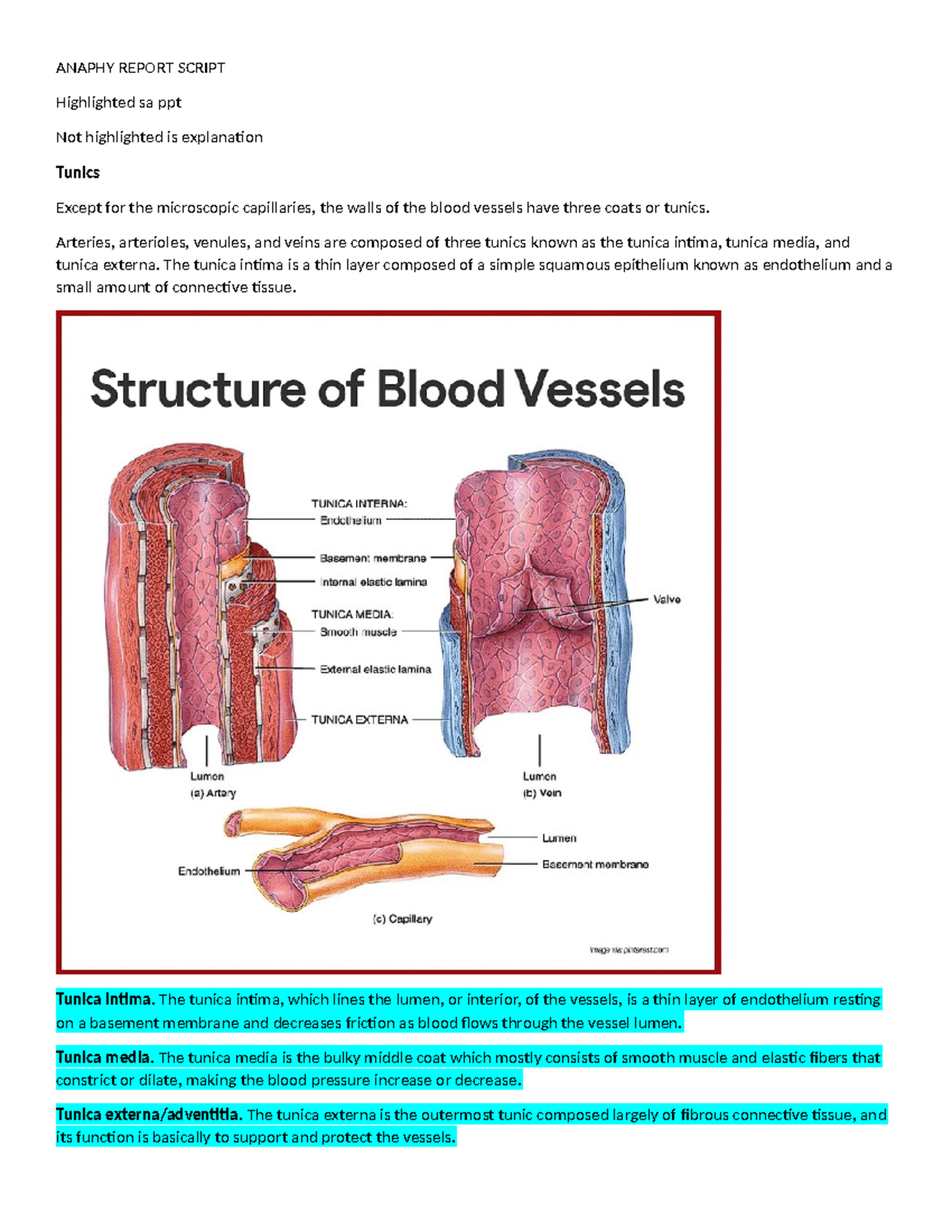 Anaphy Report Script - ANAPHY REPORT SCRIPT Highlighted sa ppt Not ...