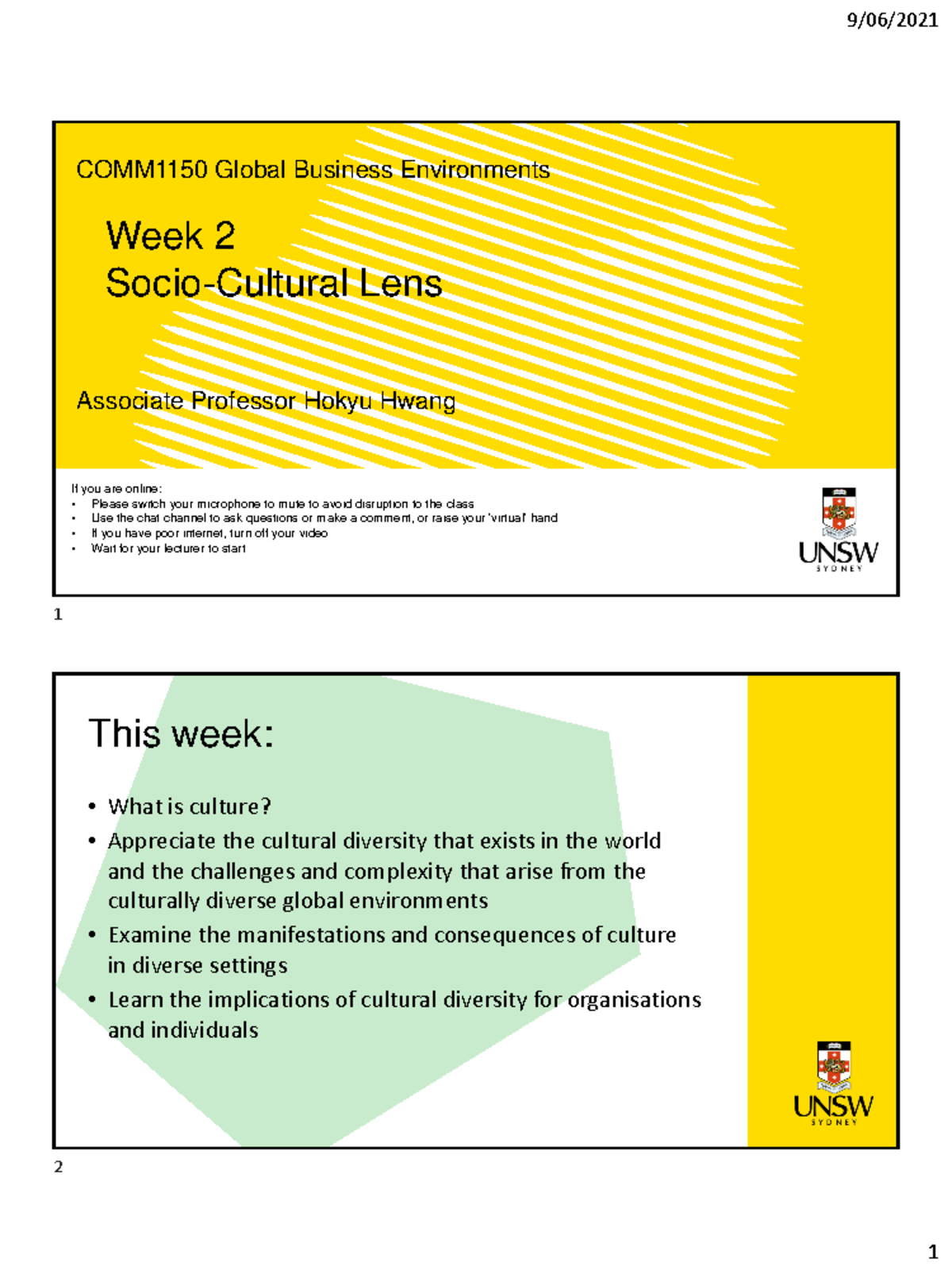 COMM1150 Week 2 SocioCultural Lens Final COMM1150 Global Business