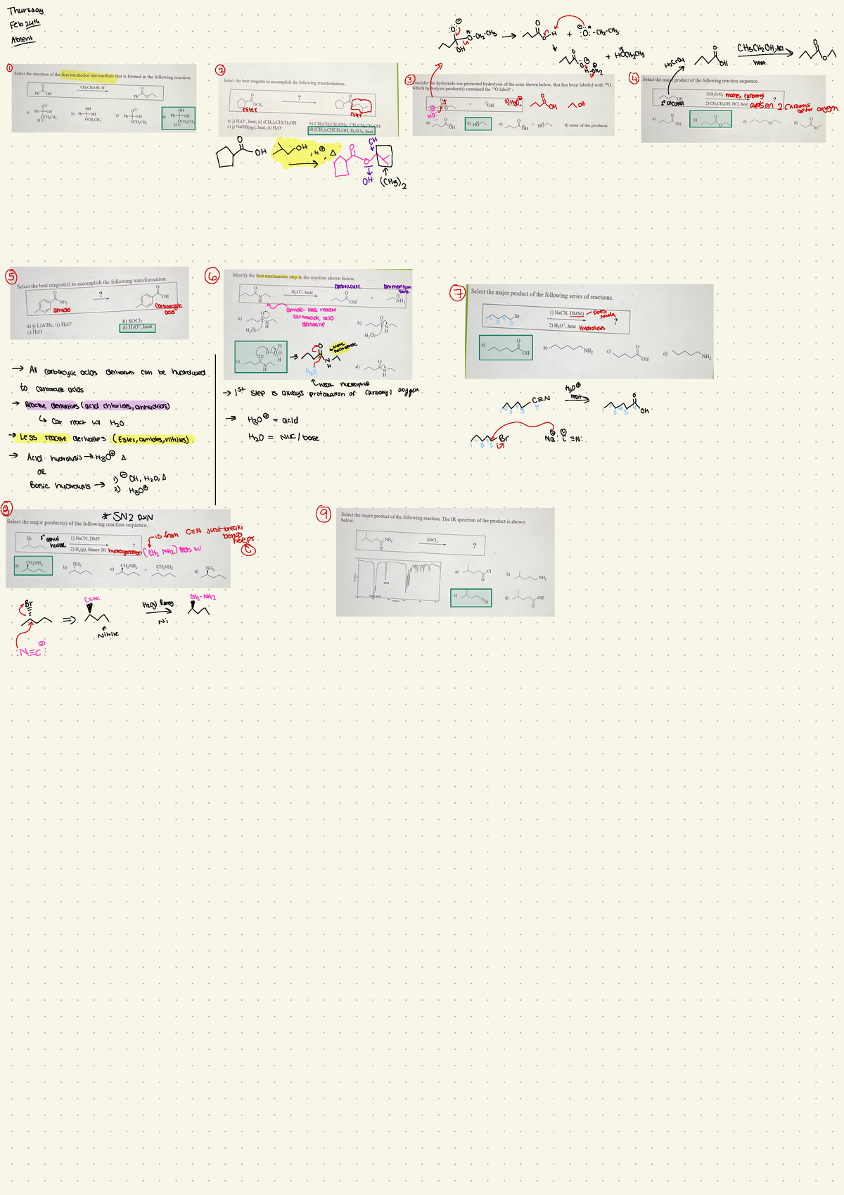 For Exam 2 - These notes will help prepare you for the quizzes as well ...