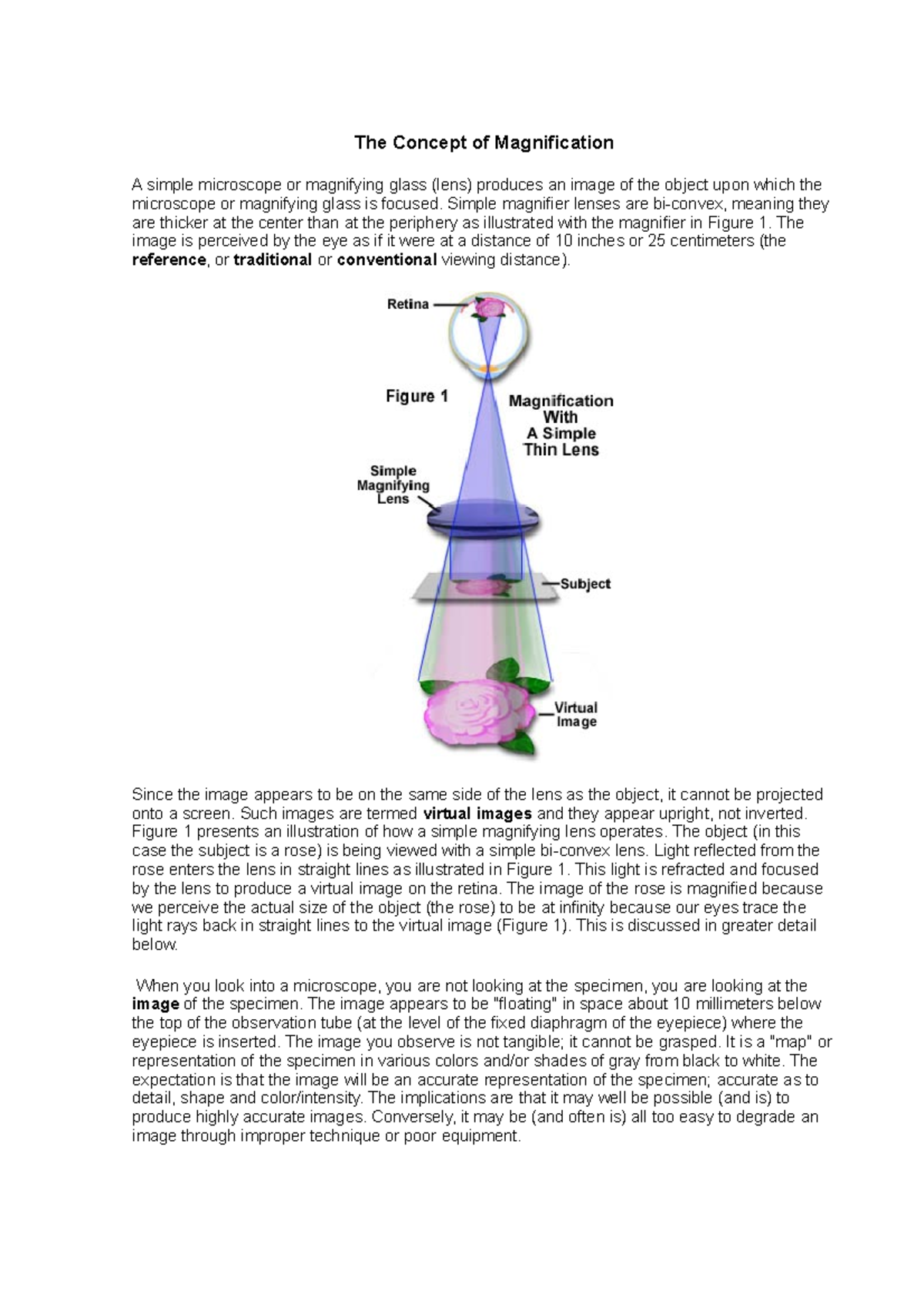 The Concept of Magnification Simple magnifier lenses are biconvex