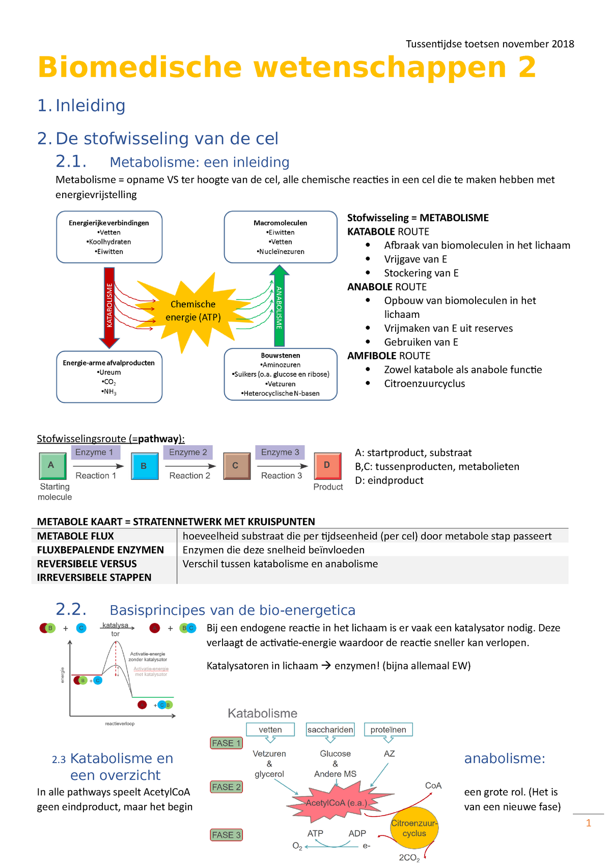 Samenvatting Biomedische Wetenschappen H1-6 - Biomedische Wetenschappen ...