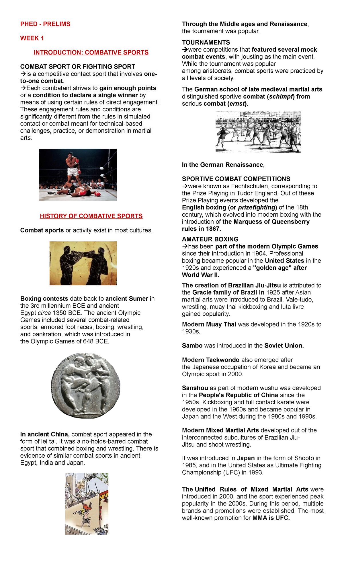 COMBATIVE SPORTS COMBAT SPORT