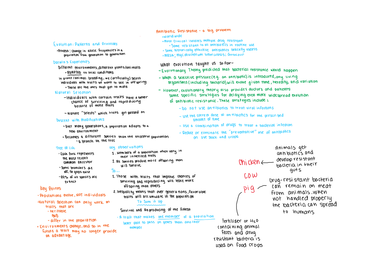 Bio - Evolution and Ecology Notes for Exam 1. - Antibiotic Resistance a ...