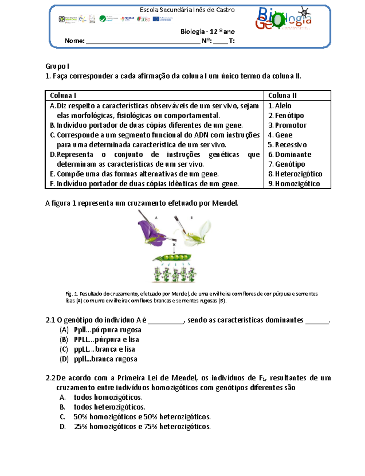 Exerc Ã cios hereditariedade - Escola Secundária Inês de Castro ...