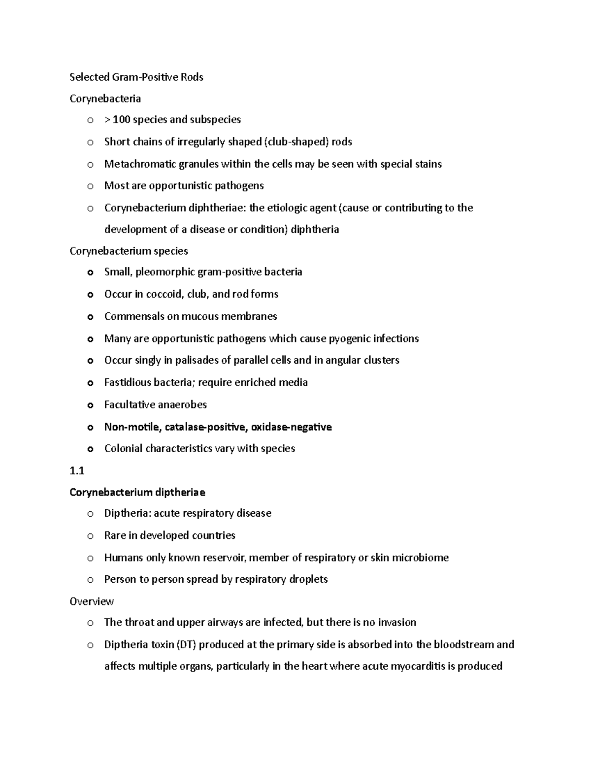 gram-positive-bacteria-selected-gram-positive-rods-corynebacteria-o