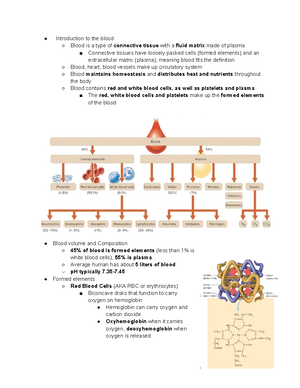 Human A &P II Notes Chapter 14 - CHAPTER 14: Characteristics of Blood ...