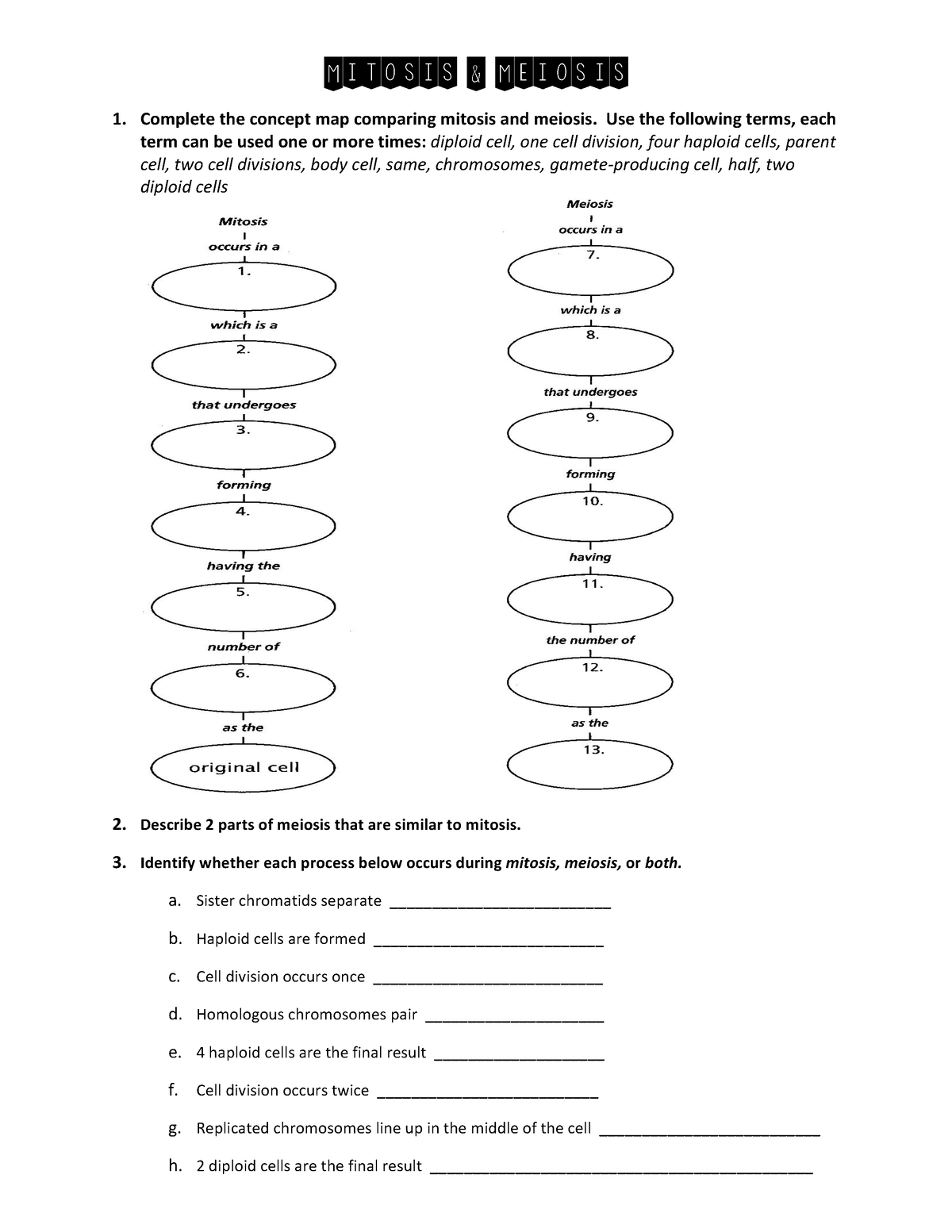 Mitosis-meiosis practice - Mitosis & Meiosis 1. Complete the concept ...