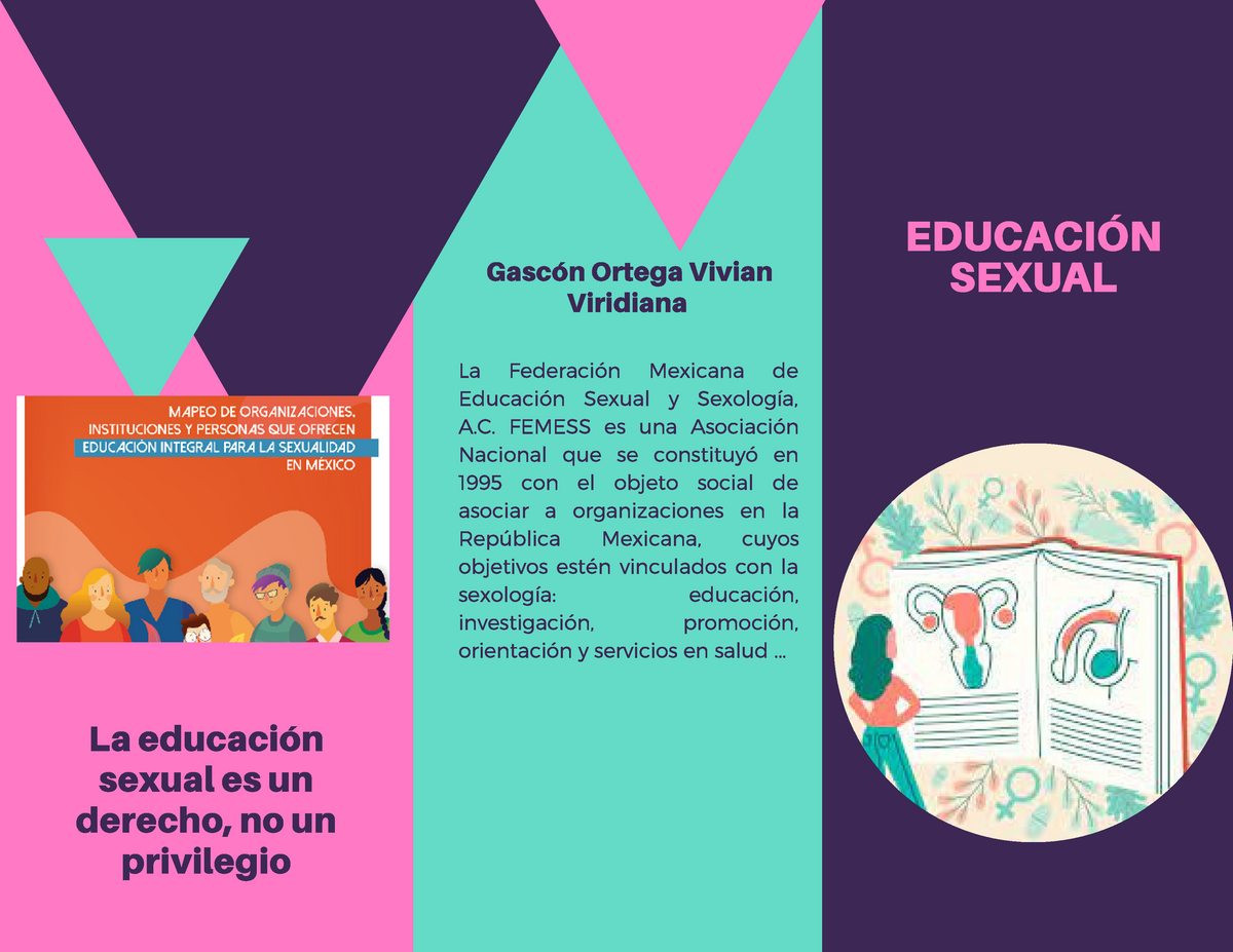 Educación Sexual De Apoyo EducaciÓn Sexual La Federación Mexicana De Educación Sexual Y 3734