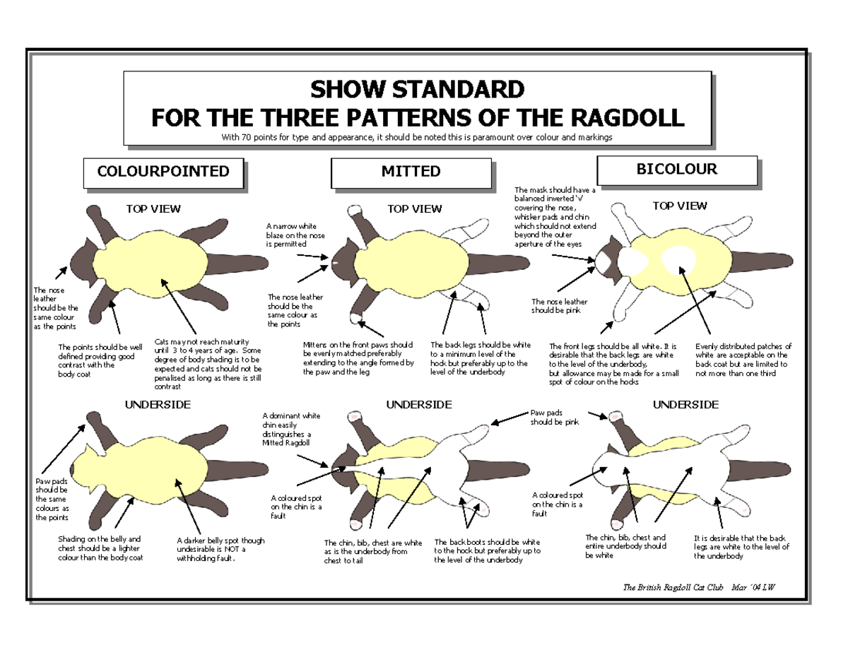 Descripción de la raza Ragdoll y sus patrones - SHOW STANDARD FOR THE ...