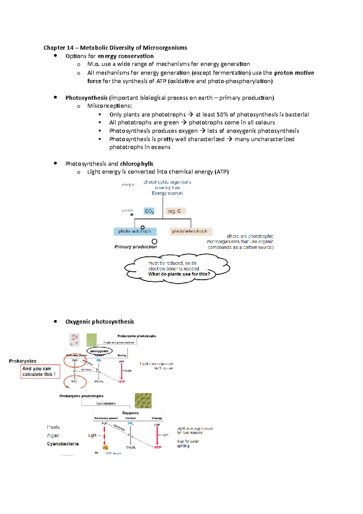 Chapter 14 Metabolic Diversity of Microorganisms - photosynthesis ...