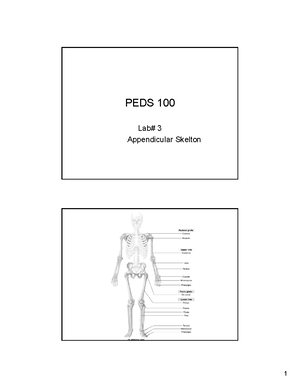 Lab 3 - Appendicular Skeleton - Lab # 3 - The Appendicular Skeleton ...