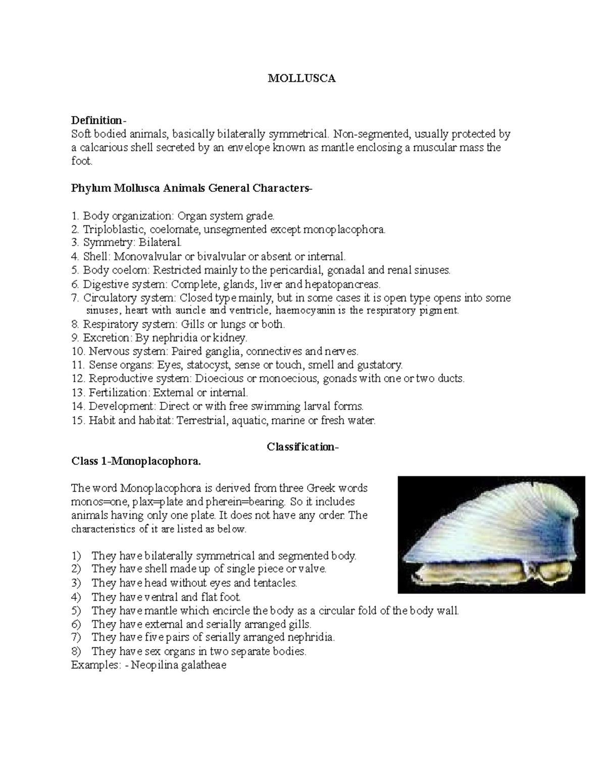 Mollusca Classification - MOLLUSCA Definition - Soft Bodied Animals ...