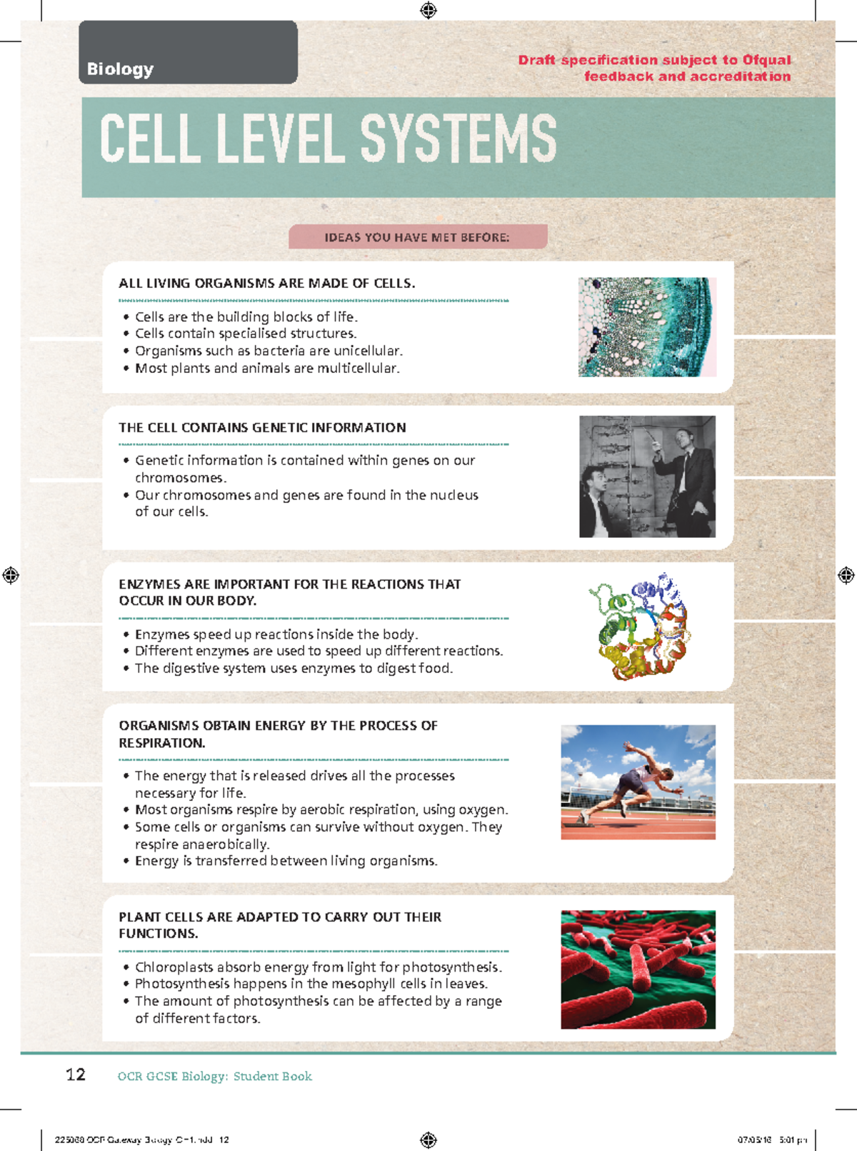 OCR Gateway GCSE Biology Student Book Chapter 1 - Draft specification ...