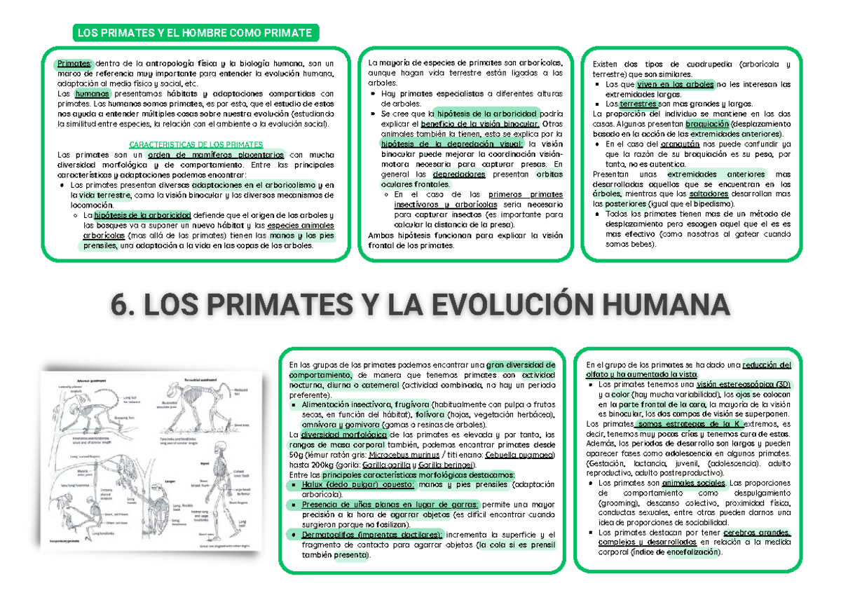 Bio Humana Esquema 4 - LOS PRIMATES Y EL HOMBRE COMO PRIMATE Los ...