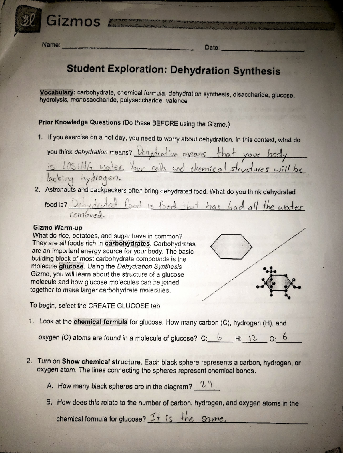 Dehydration Synthesis Lab - Gizmos Name: Student Exploration ...