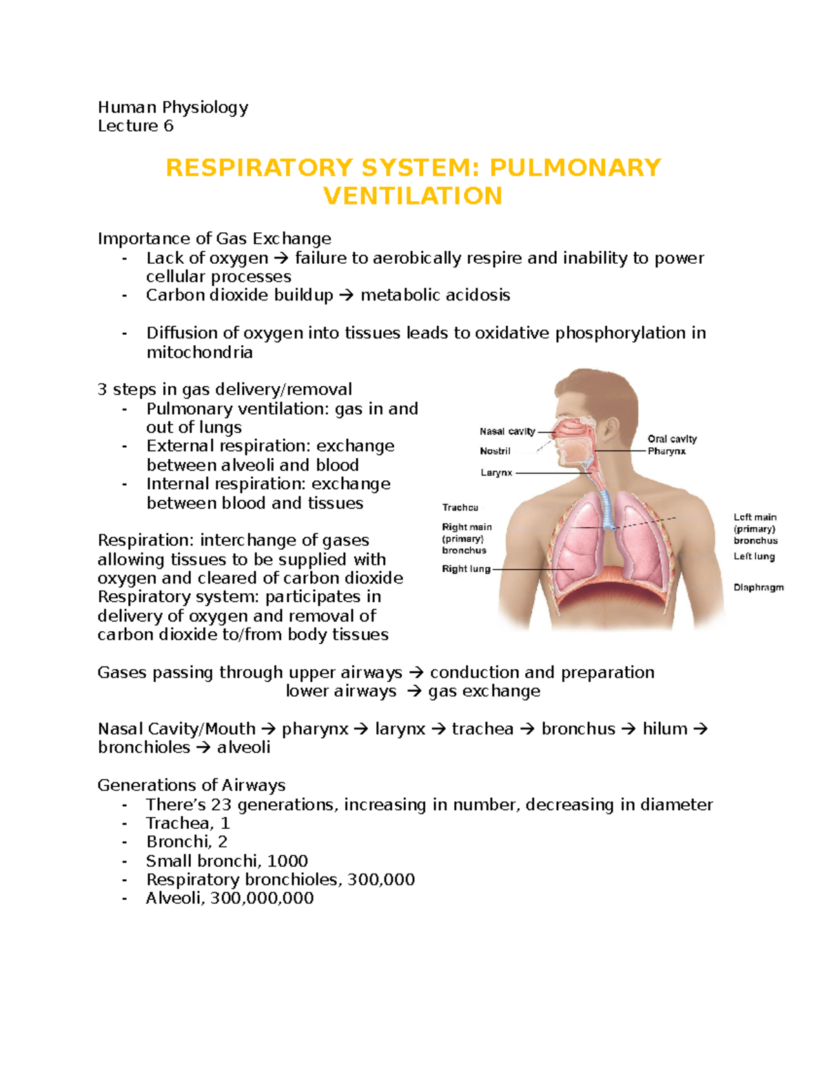 6 - Human Physiology - Lecturer: Ghazala Year 1 Biomedical Sciences ...