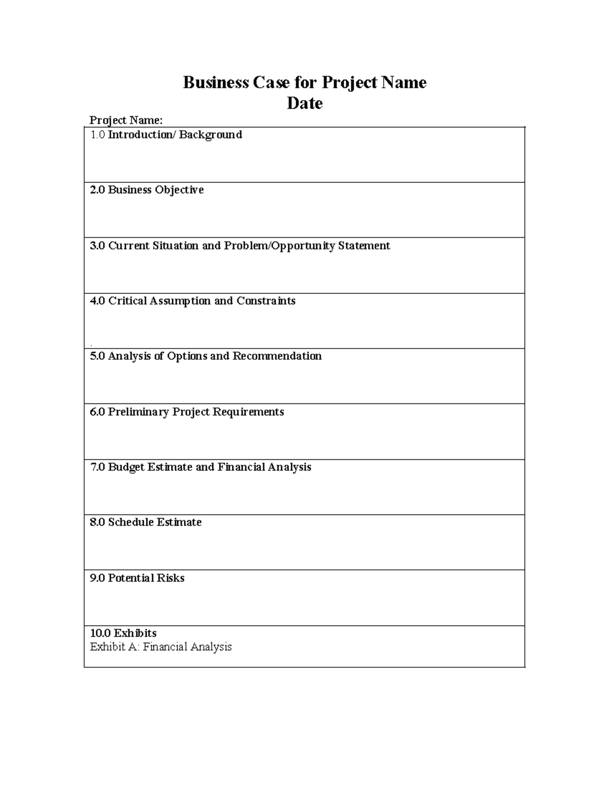 Business case of the case - IT Project Management - Business Case for ...