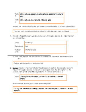 Biology 102 Test #1 - Bio 102 test 1 study guide - Angiosperm ...