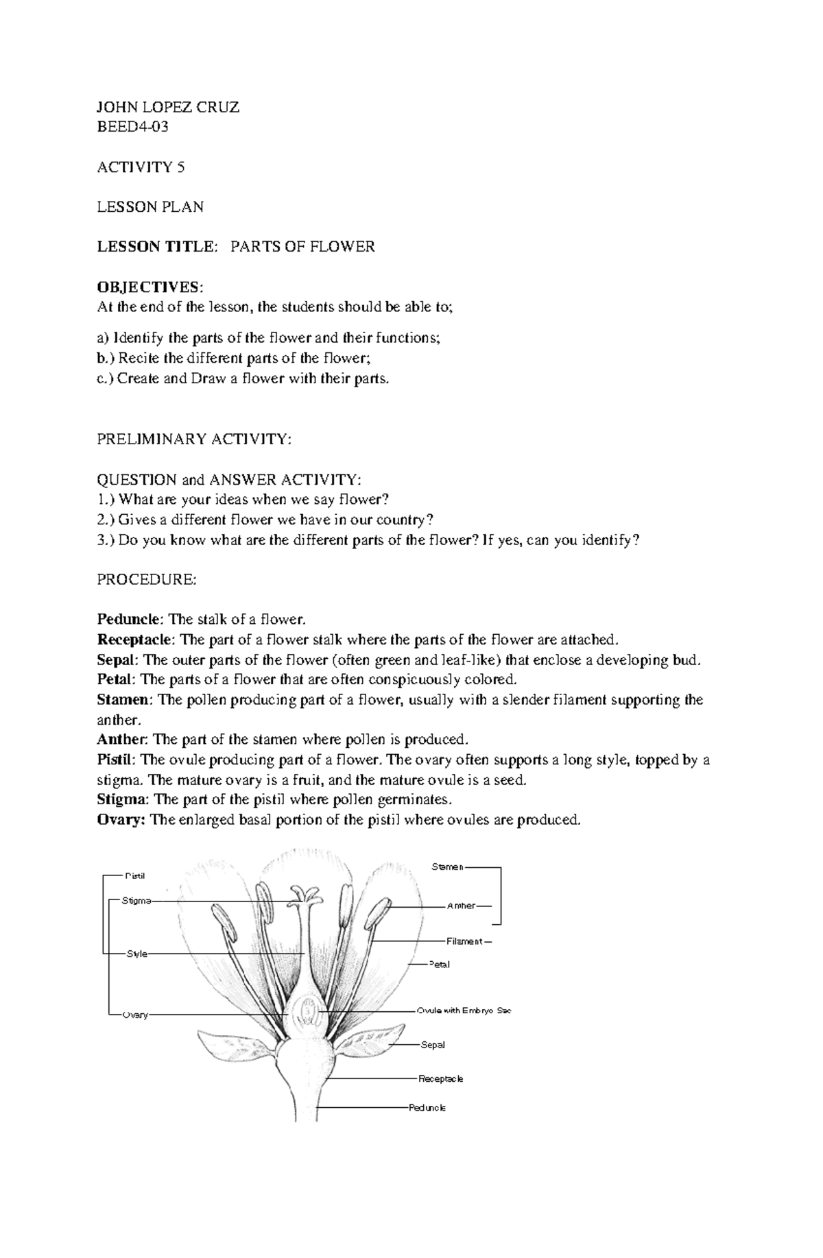 Activity 5 - JOHN LOPEZ CRUZ BEED4- ACTIVITY 5 LESSON PLAN LESSON TITLE ...