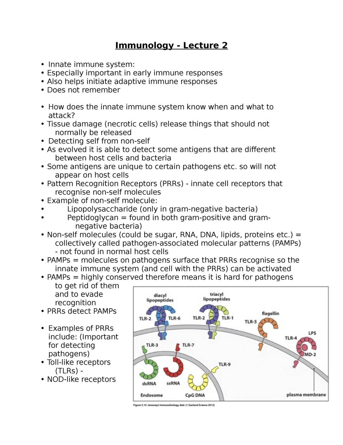 Immunology Lecture 2 - Immunology - Lecture 2 Innate Immune System ...