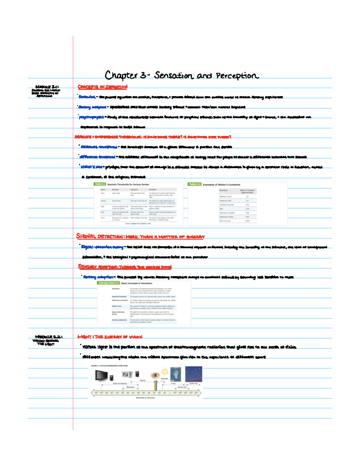 Psychology chapter 3 - Chapter 3 Sensation and Perception ####### Mo ...