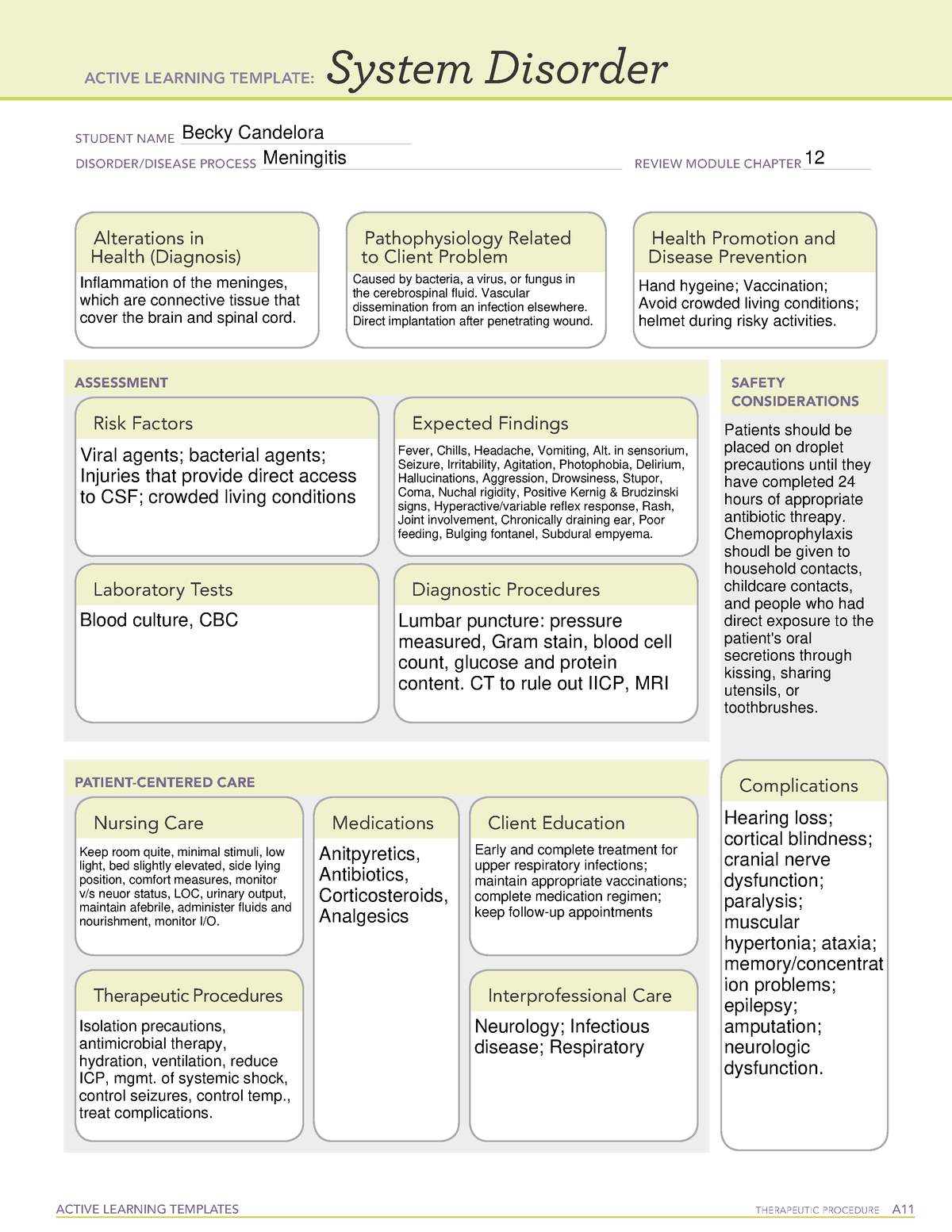 ati-system-disorder-template-meningitis-active-learning-templates