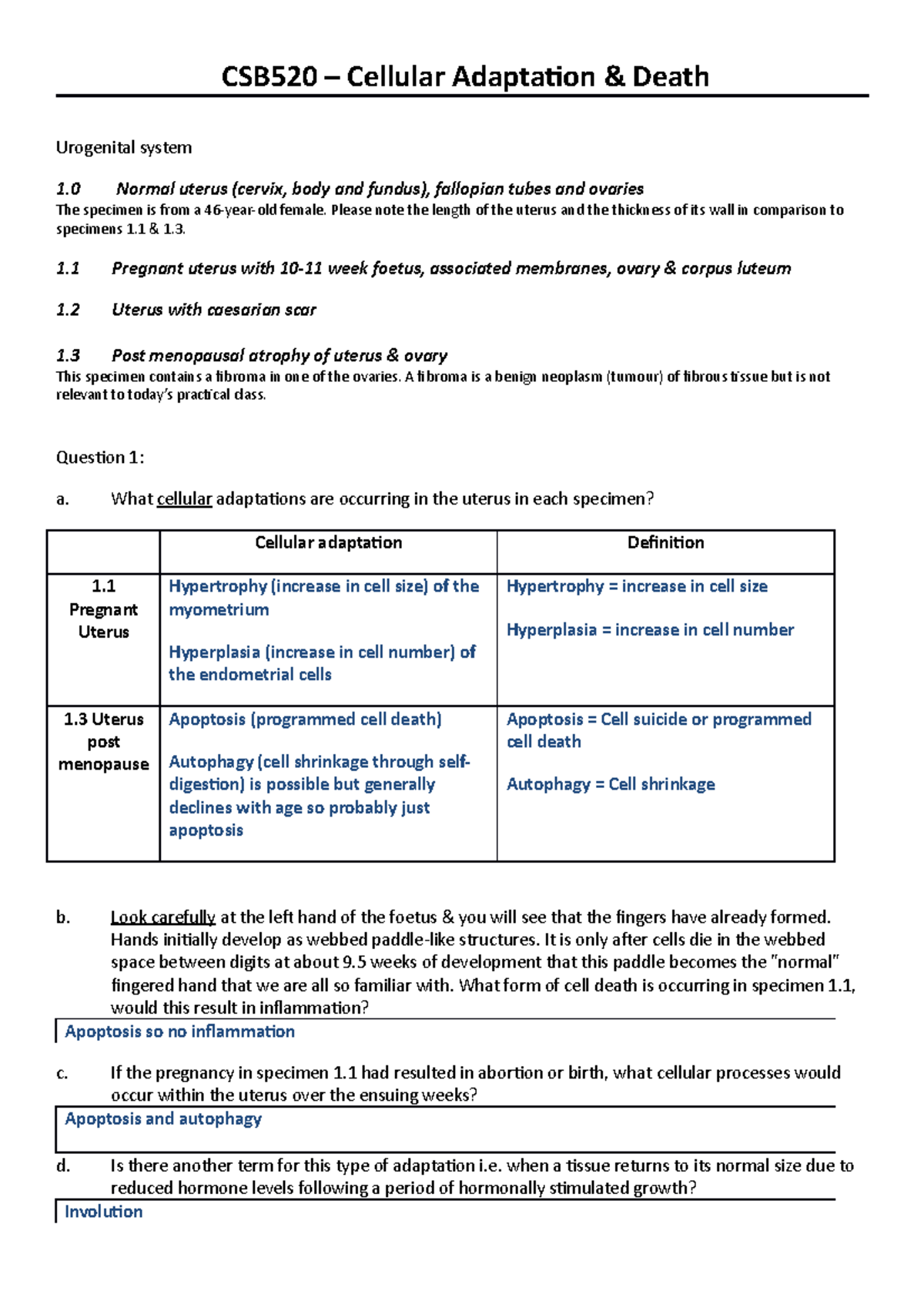 2020 Cell Adaptation & Death Prac Week 1 CSB520 - Answers - CSB520 ...