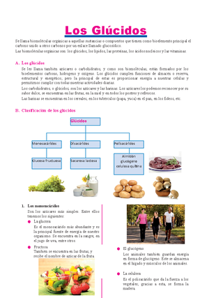 A Resumen Ecoria Inorganicas Propiedades Del Agua Sales Minerales Y