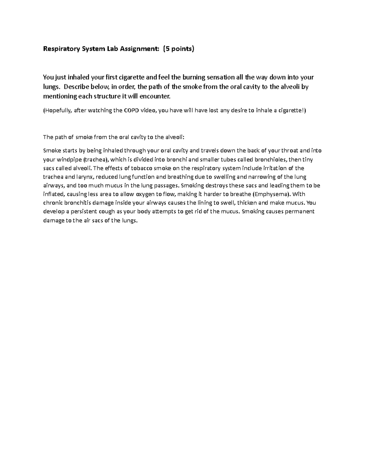 Respiratory System Lab Assignment Describe below, in order, the path