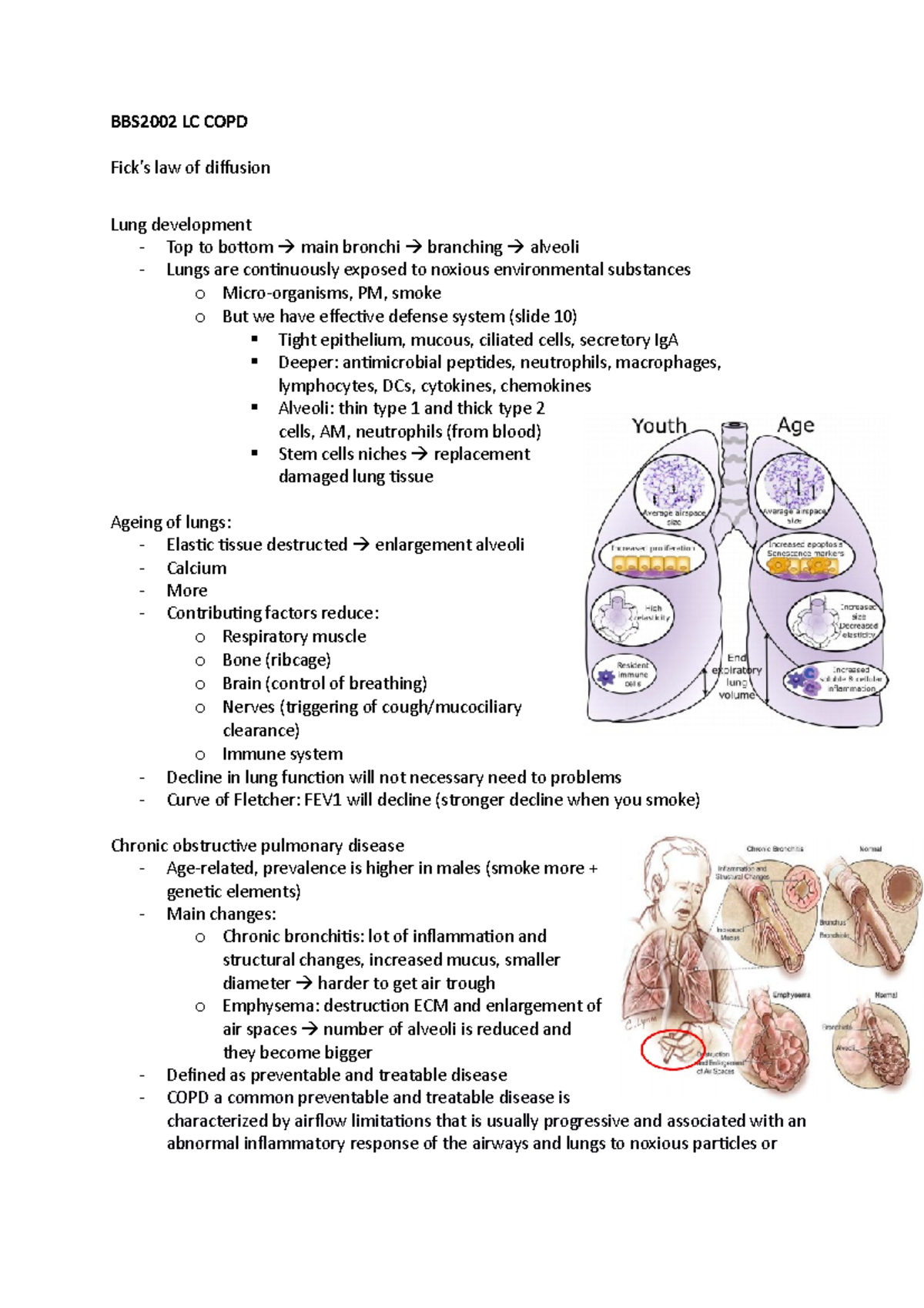 Bbs2002 Lc Copd - Hoorcollege Copd - Bbs2002 Lc Copd Fick’s Law Of 