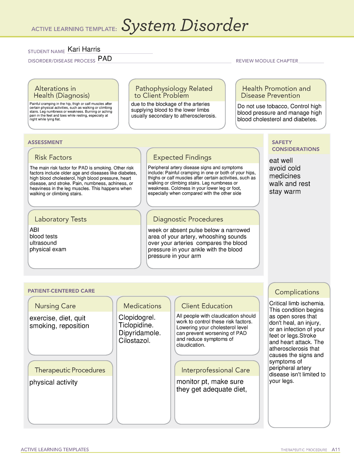 Basic Concept Ati Template Information Technology