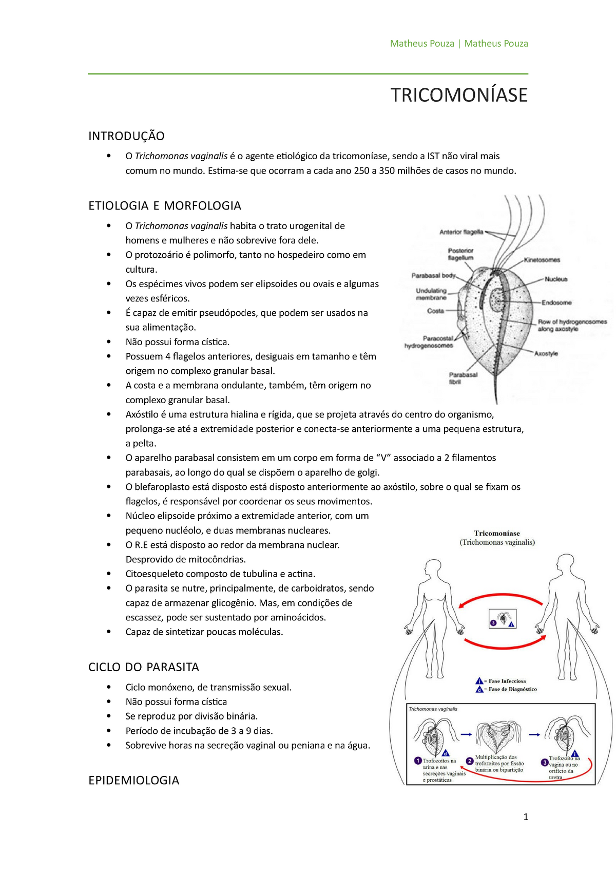 Tricomoníase Livro Anotaçõesresumo De Aula Material Complementar Matheus Pouza 1115