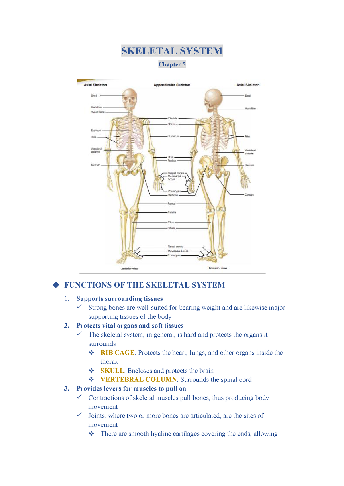 1stsem Midterms Anaphy - SKELETALSYSTEM Chapter 5 FUNCTIONS OF THE ...