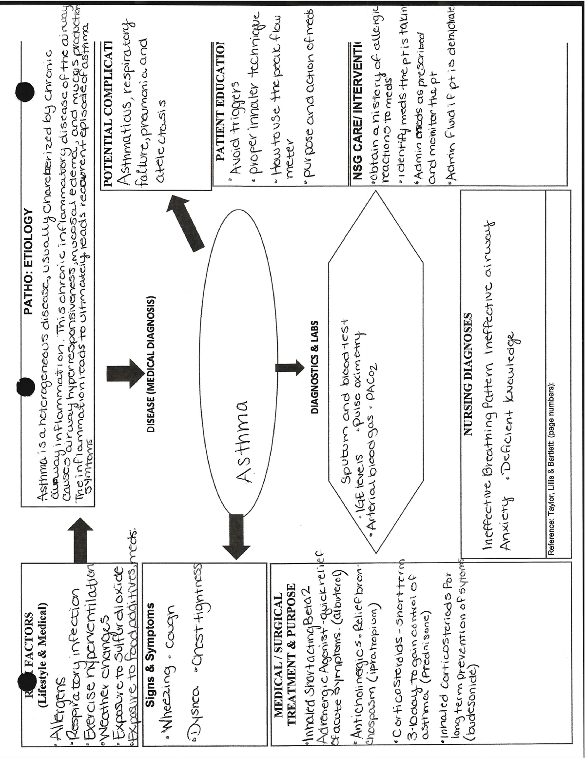 Concept map for asthma - NUR150 - Studocu