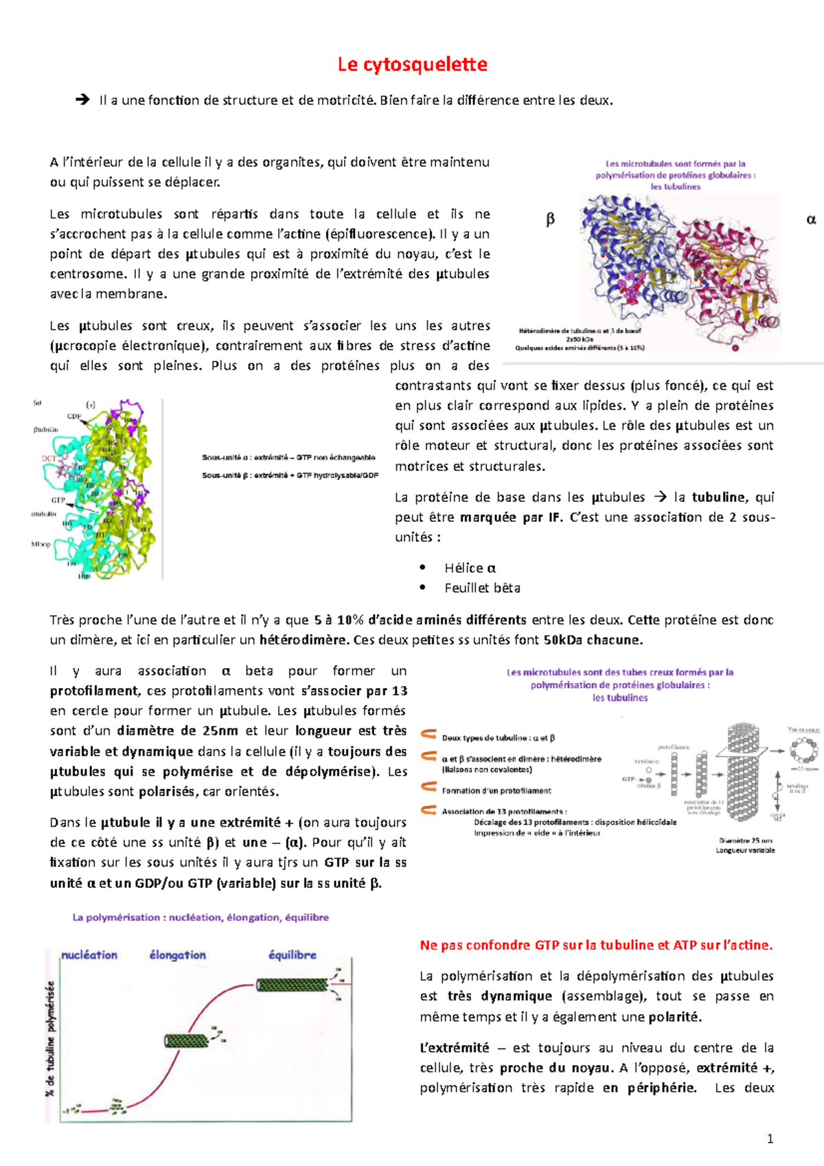 Le cytosquelette - Mme Bonod - Le cytosquelette Il a une fonction de ...