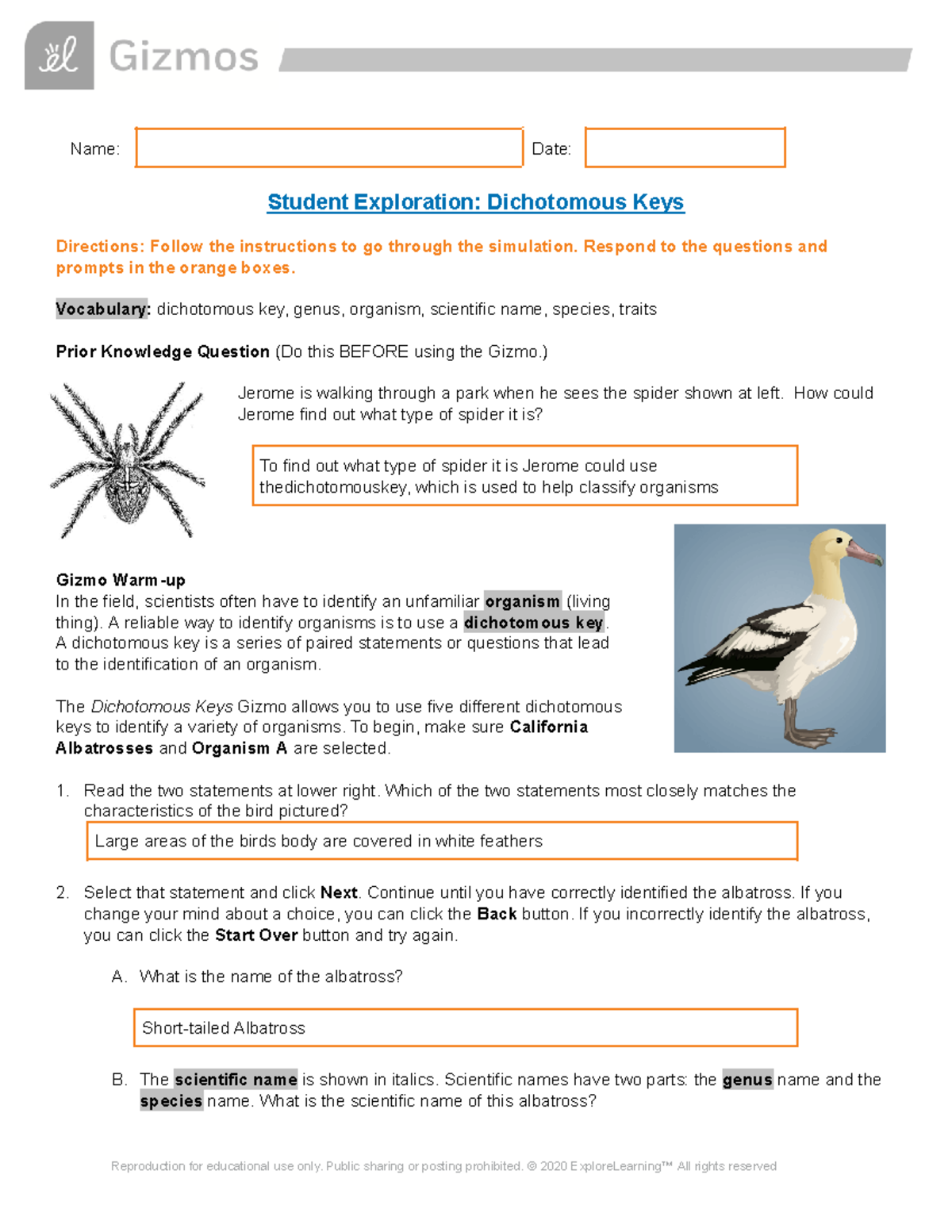 Dichotomous Keys - Name: Date: Student Exploration: Dichotomous Keys ...