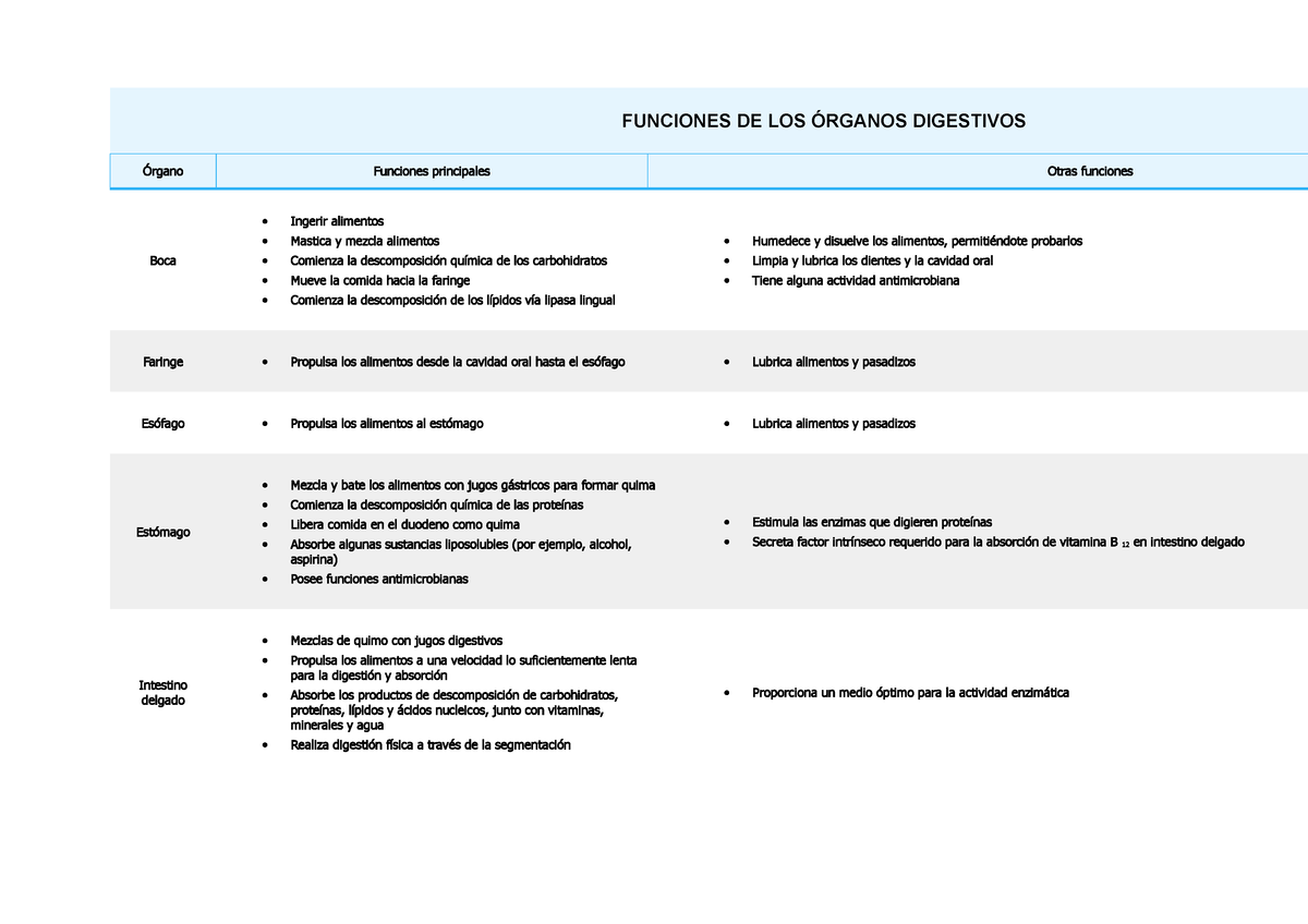 Funciones De Los Rganos Digestivos Funciones De Los Rganos