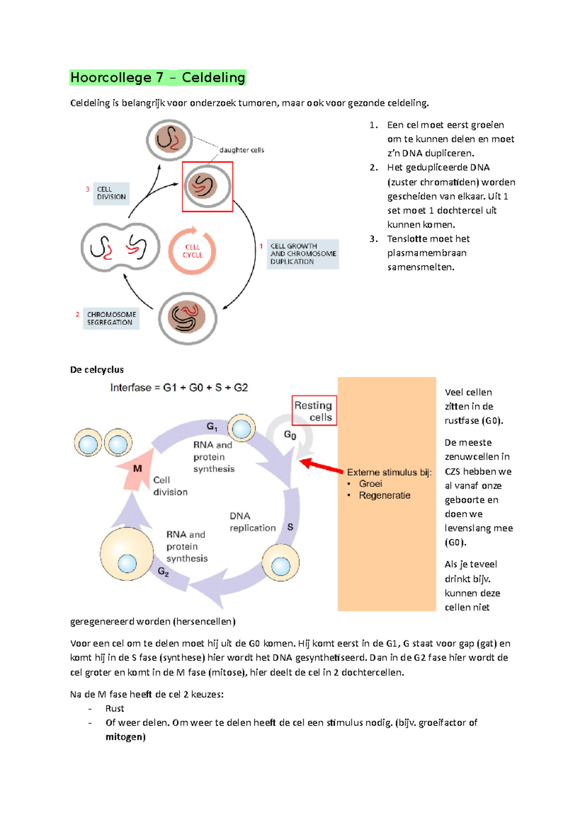 Hoorcollege 7 CW Aantekeningen - Hoorcollege 7 – Celdeling Celdeling Is ...