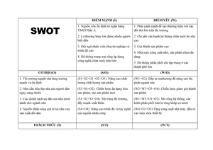 TH True Milk SWOT  PDF