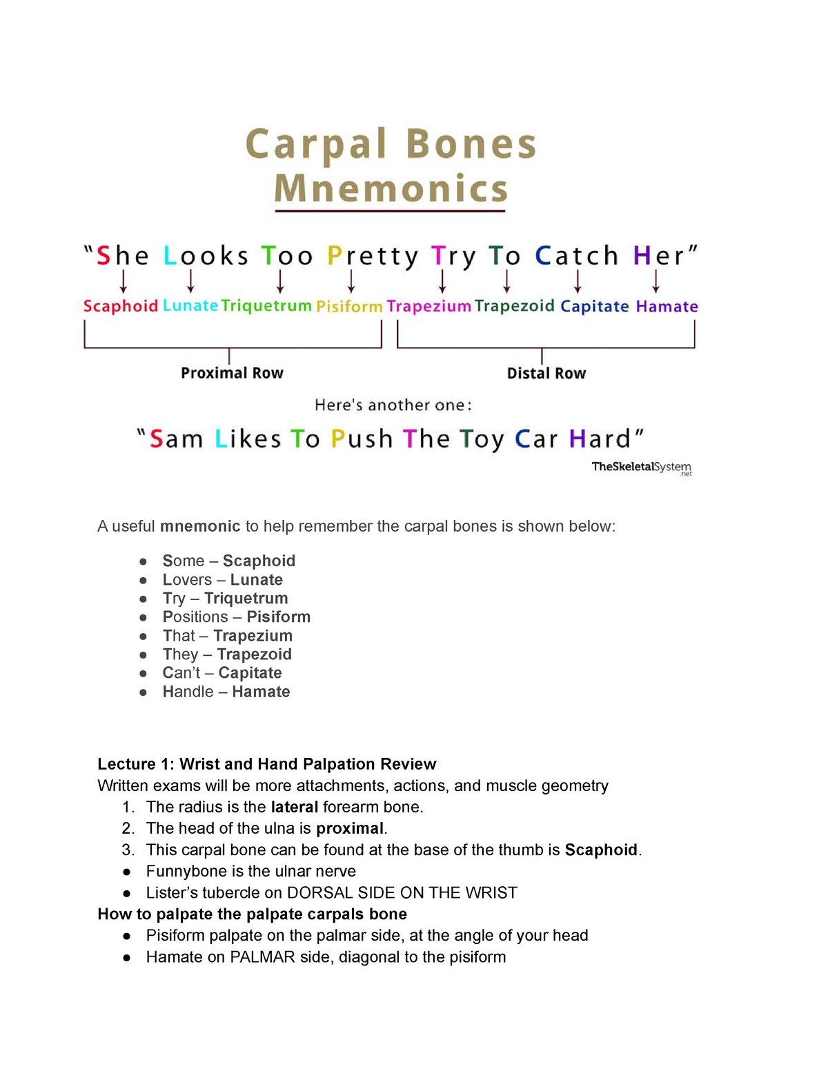 carpal bone mnemonic