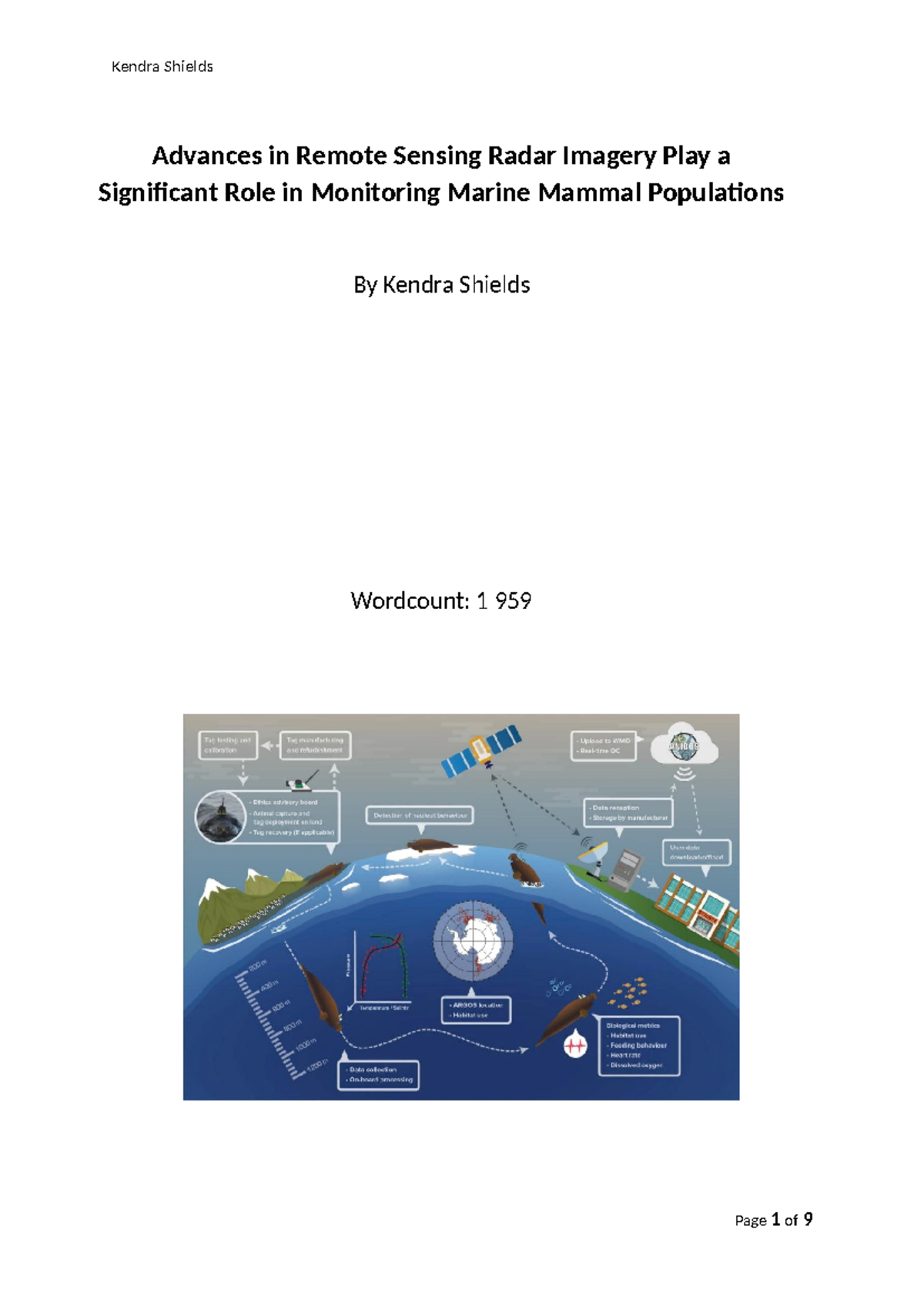 Research Investigation Report - Advances in Radar Imagery - Advances in ...