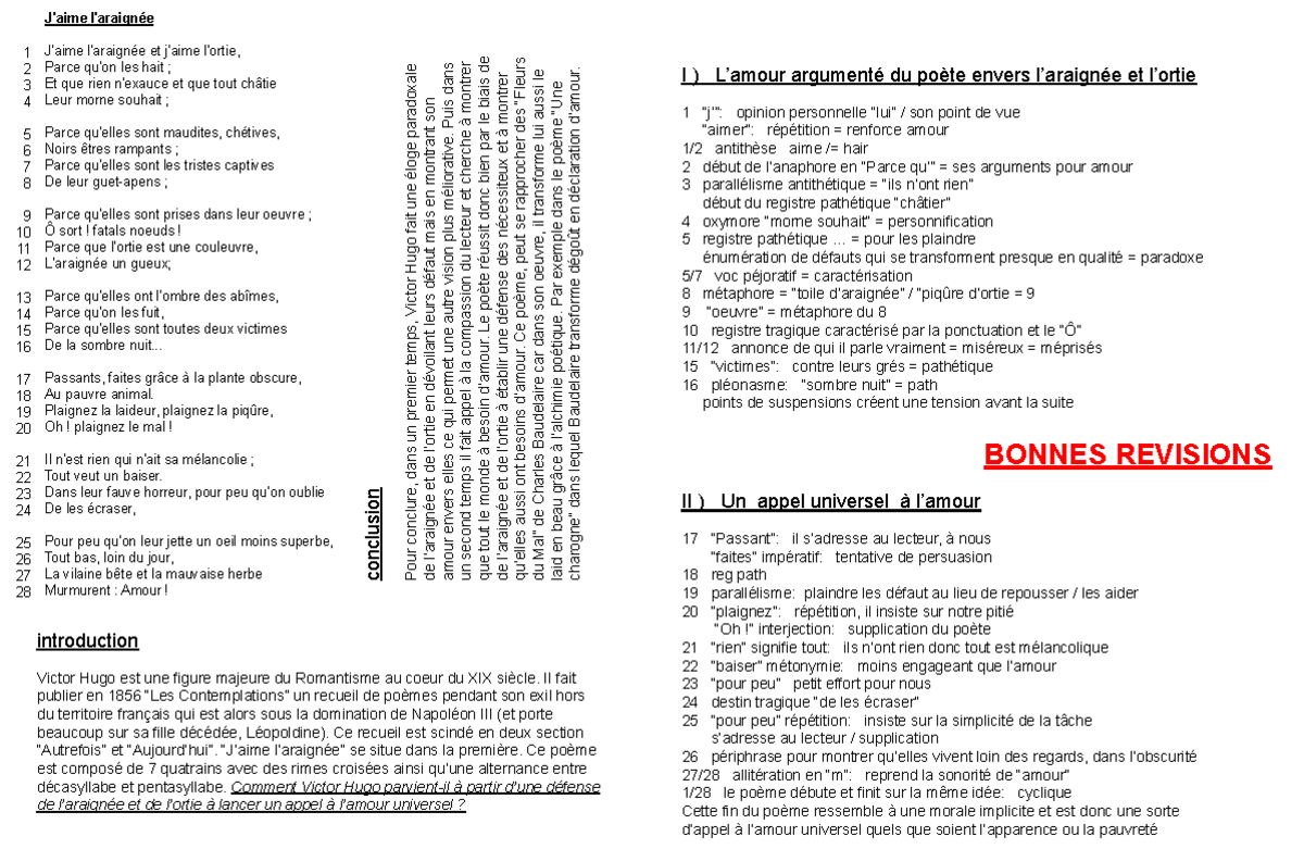 #4 J'aime l'araignée, analyse linéaire - J'aime l'araignée J'aime l