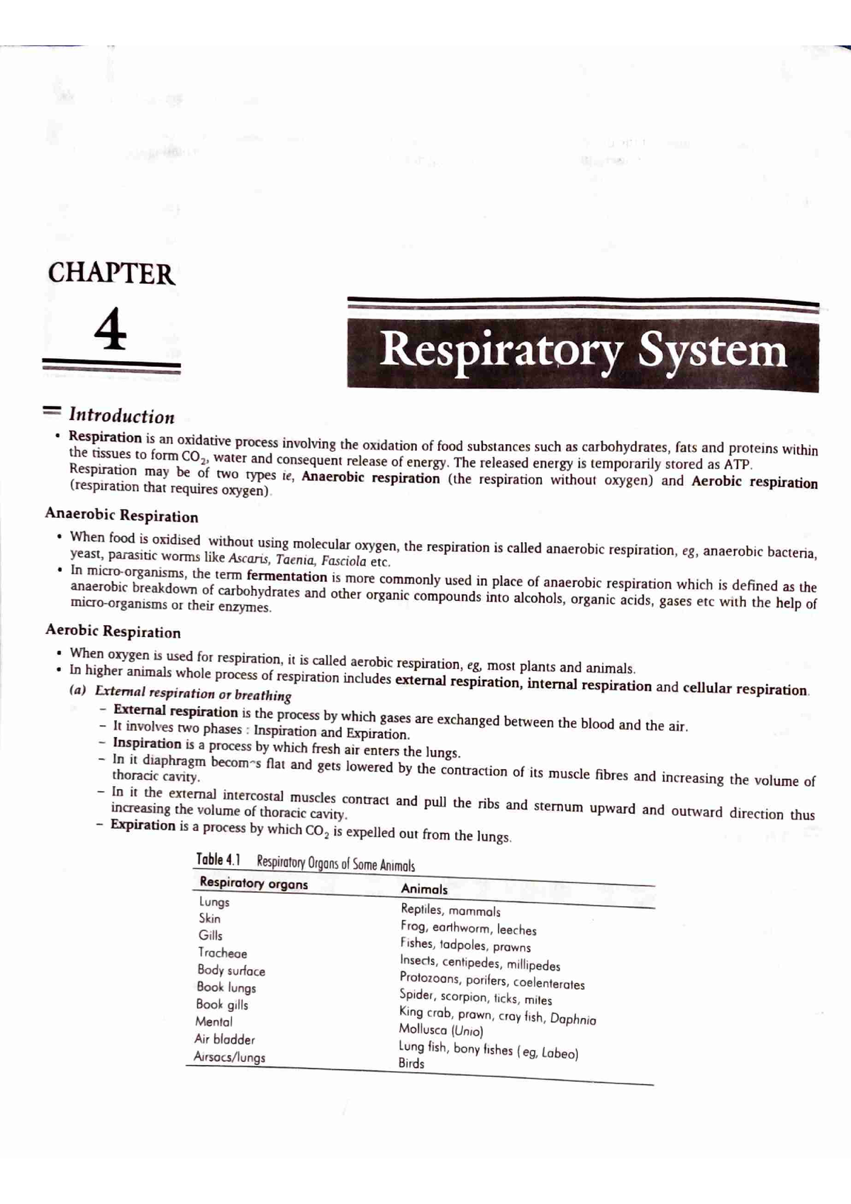 Respiratory-System - Bsc Nursing - Studocu